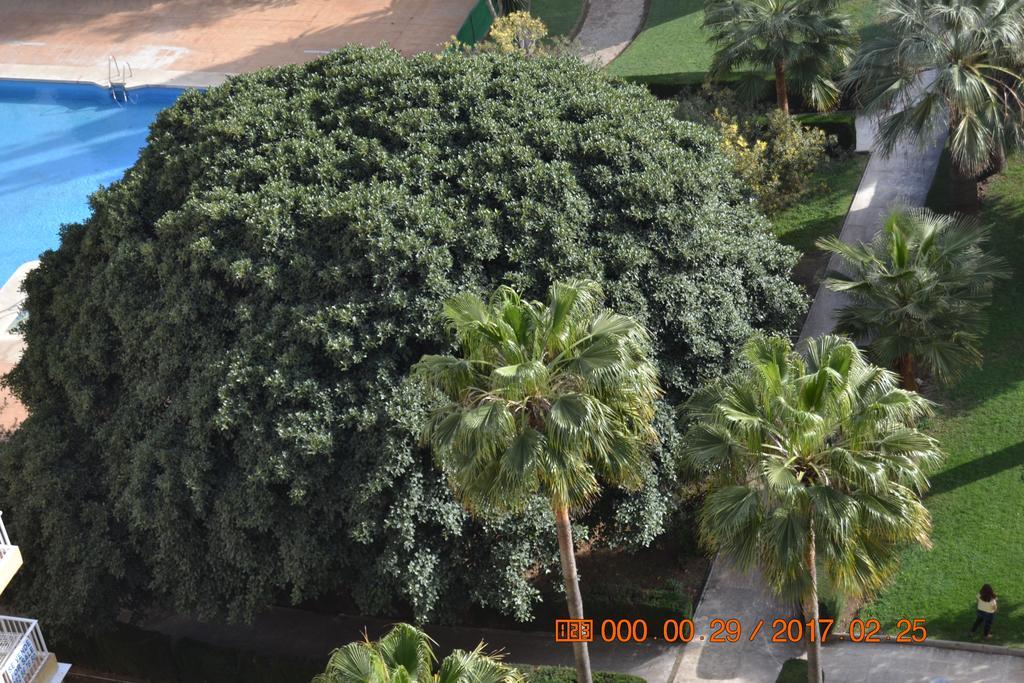 Hercules Apartment Benalmádena Kültér fotó